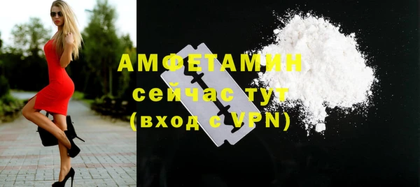 индика Беломорск