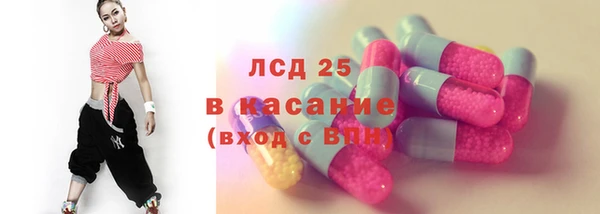 индика Беломорск