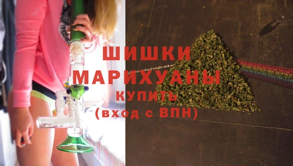 индика Беломорск