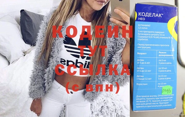 индика Беломорск