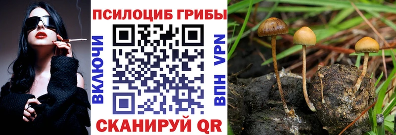Галлюциногенные грибы Magic Shrooms  Купить  Будённовск 